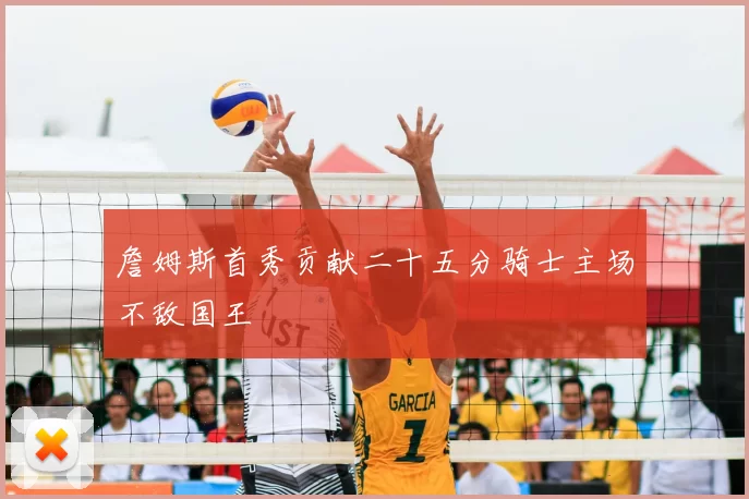 詹姆斯首秀贡献二十五分骑士主场不敌国王