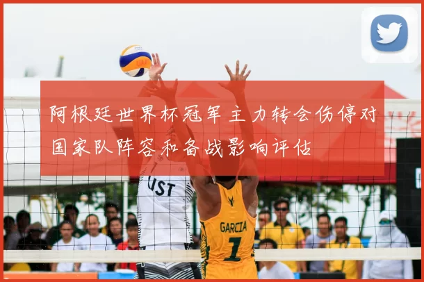 阿根廷世界杯冠军主力转会伤停对国家队阵容和备战影响评估