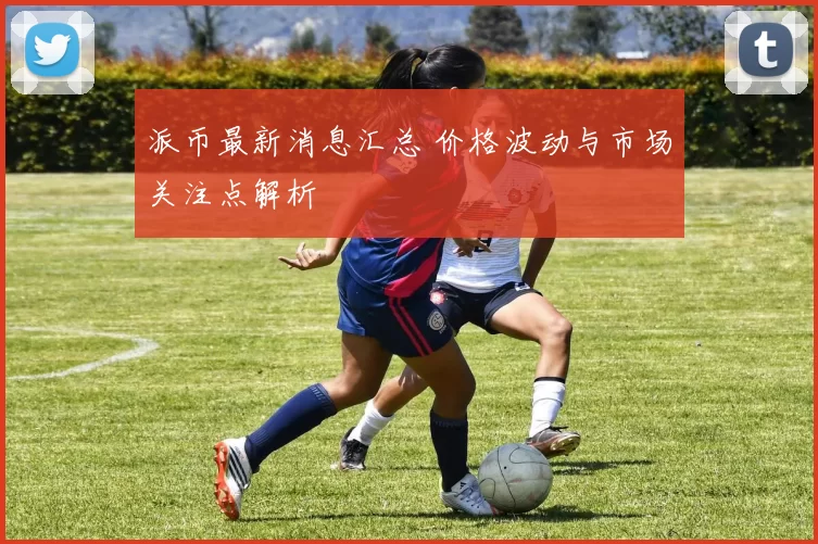 派币最新消息汇总 价格波动与市场关注点解析